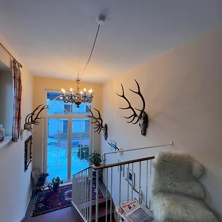 Ester Apartment *